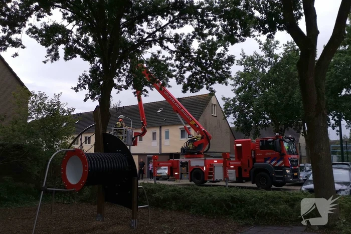 Gevaarlijk hangende tak bungelt boven speeltuin