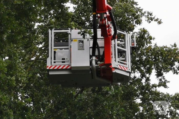 Gevaarlijk hangende tak bungelt boven speeltuin