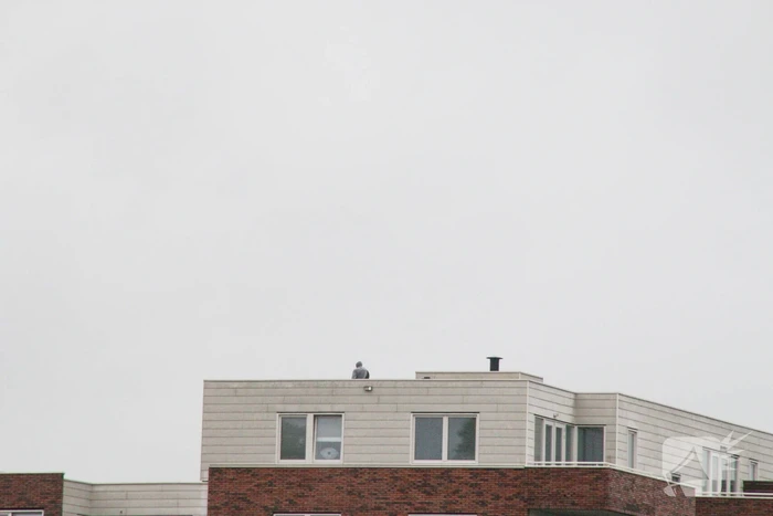 Man met verward gedrag gooit stenen vanaf dak naar agenten