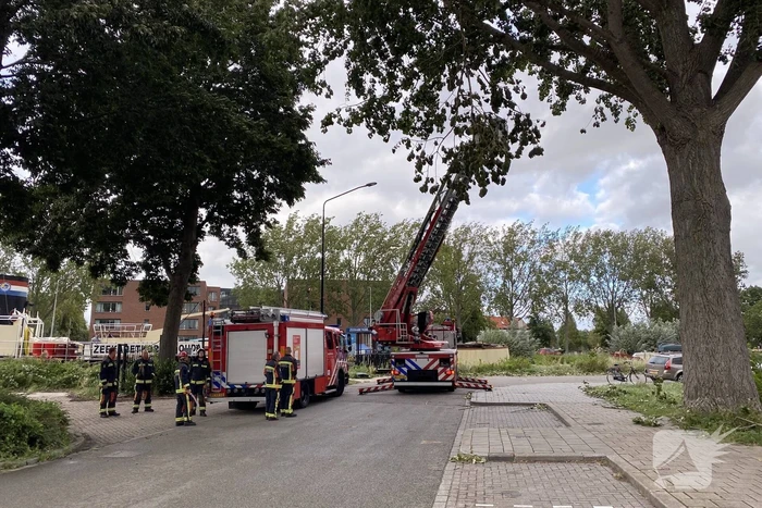 Brandweer verwijderd loshangende tak