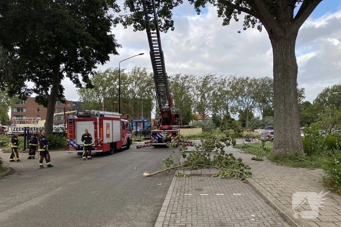 Brandweer verwijderd loshangende tak