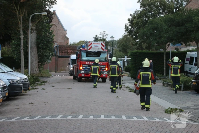 Met hoogwerker levensgevaarlijke takken verwijderd