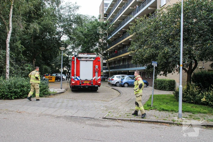 nieuws van oldenbarneveltstraat nijkerk