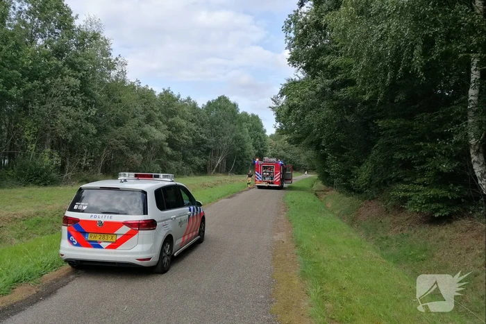 Brand in bosschage snel uit