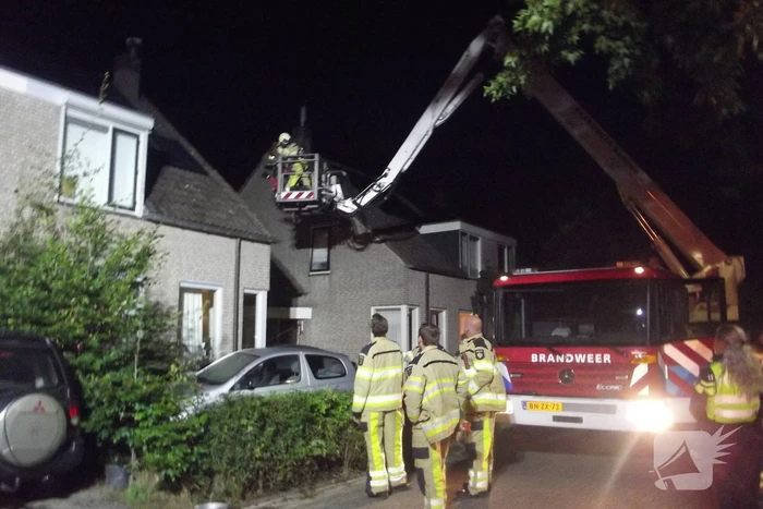 brand havikskruid kampen