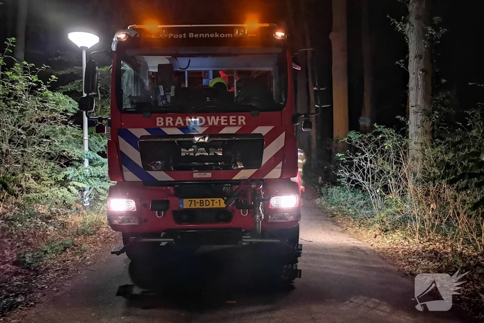 Jonge duiven gered na omgevallen boom
