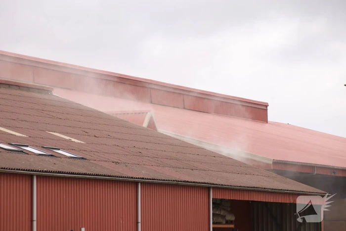Grote brand in loods Van Andel Bio