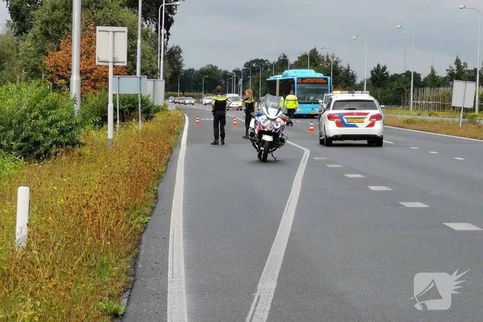 N781 afgesloten na loslopende koeien op de weg