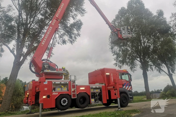 Brandweer verwijderd loshangende takken