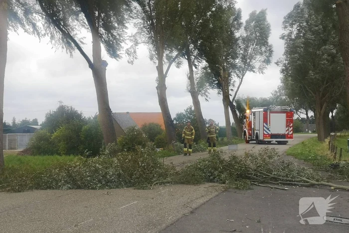Brandweer verwijderd loshangende takken