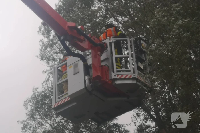 Brandweer verwijderd loshangende takken