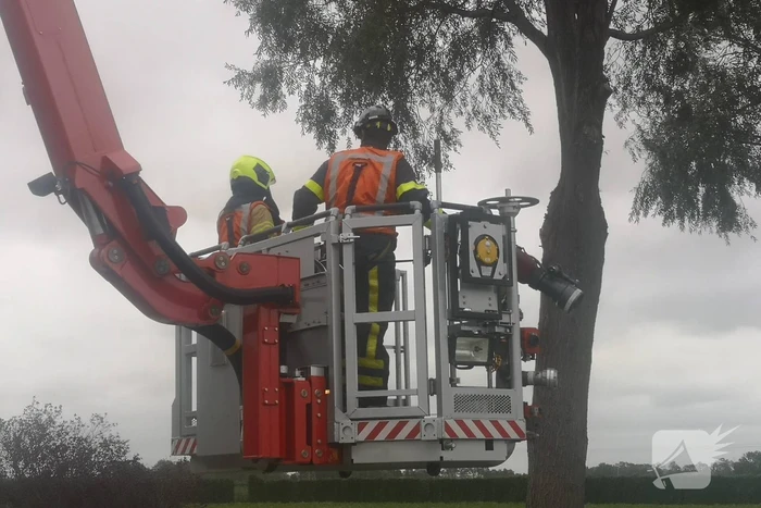 Brandweer verwijderd loshangende takken