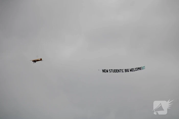 nieuws de bird leeuwarden