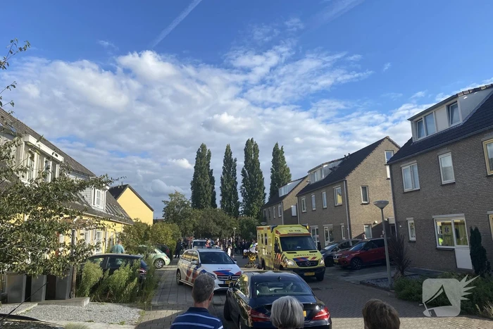 Persoon zwaargewond bij opensnijden kokosnoot