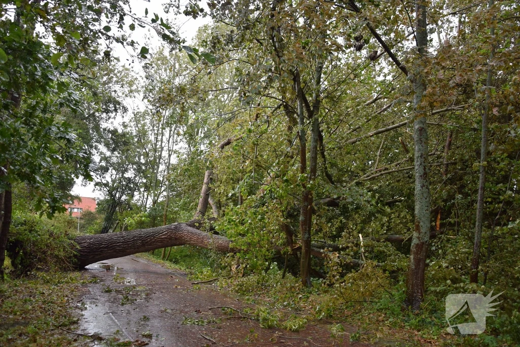 Hogezoom Nieuws Renesse 