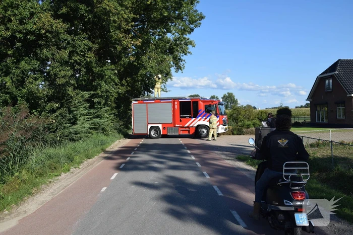 natuur meentdijk bennekom
