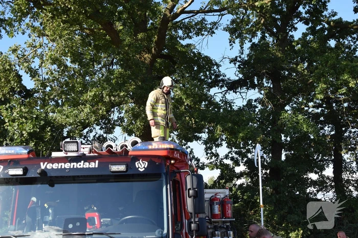 Gevaarlijk hangende tak uit boom verwijderd