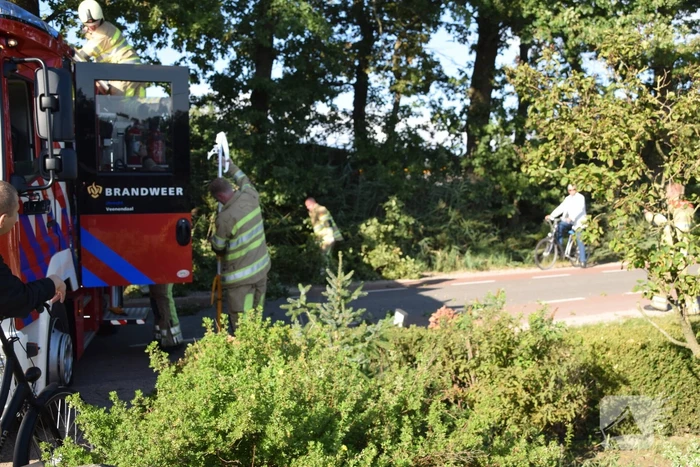 Gevaarlijk hangende tak uit boom verwijderd