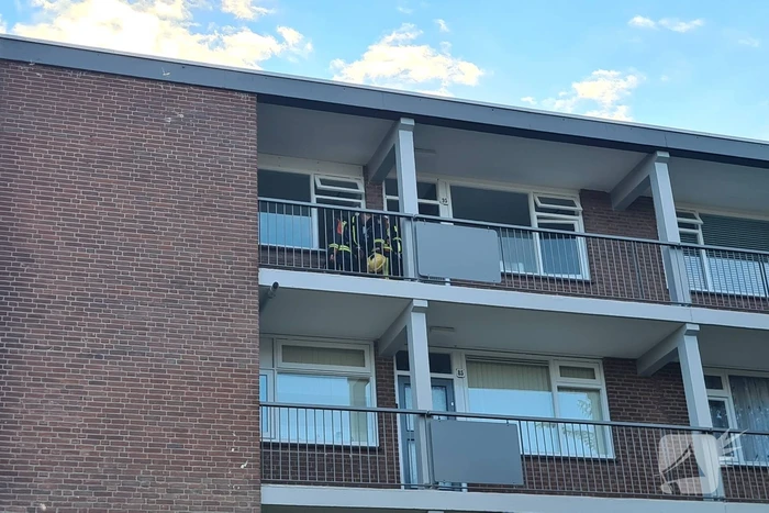 Waterlekkage in flatwoning