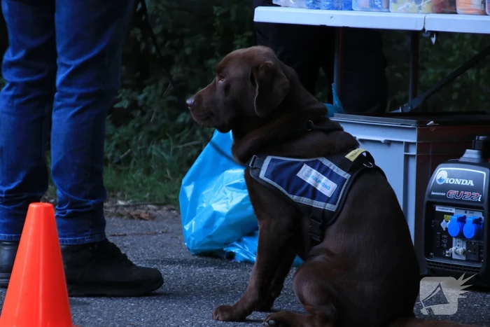 Vermiste 54-jarige man aangetroffen dankzij Burgernetdeelnemer