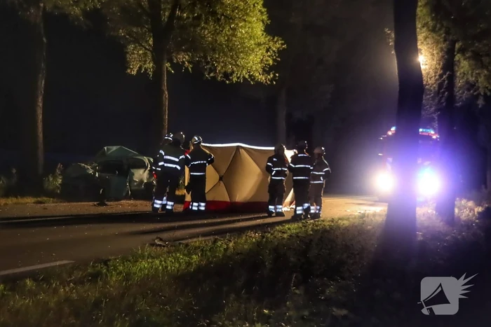 Automobilist overleden na ernstig verkeersongeval