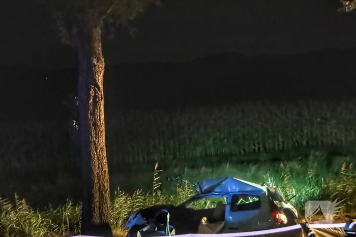 Automobilist overleden na ernstig verkeersongeval