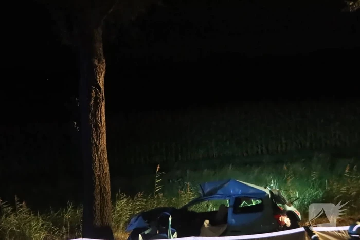 Automobilist overleden na ernstig verkeersongeval