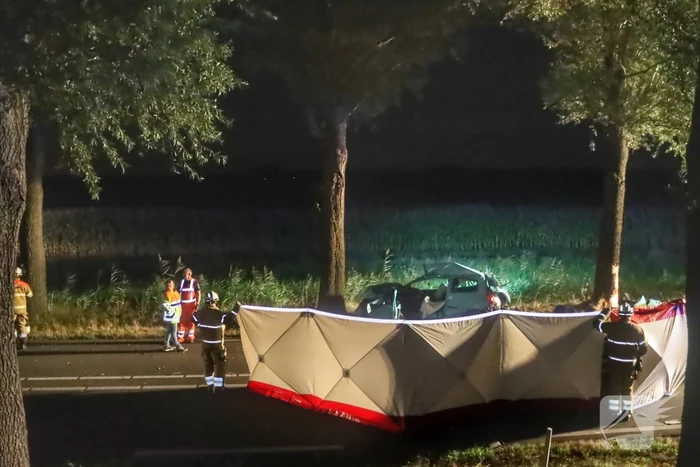 Automobilist overleden na ernstig verkeersongeval