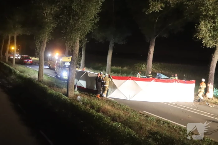 Automobilist overleden na ernstig verkeersongeval