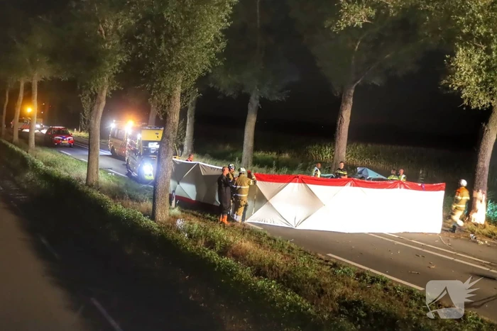 Automobilist overleden na ernstig verkeersongeval