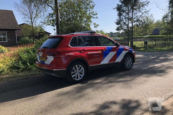 Veulen belandt in put van veeschuur