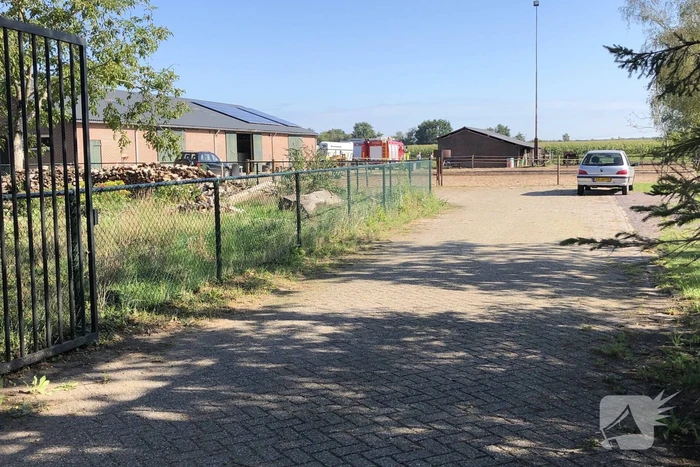 Veulen belandt in put van veeschuur