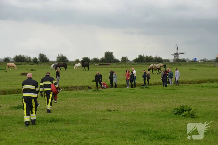 Paard vast in sloot, brandweer bevrijdt het dier