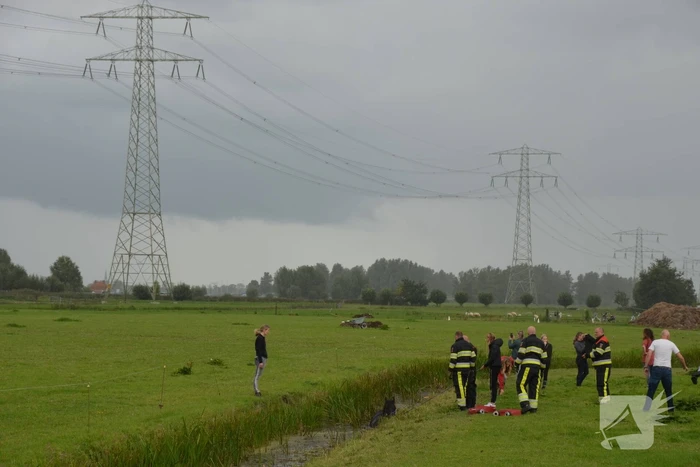 Paard vast in sloot, brandweer bevrijdt het dier