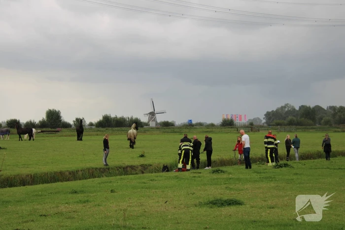 Paard vast in sloot, brandweer bevrijdt het dier