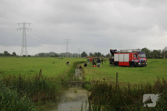 Paard vast in sloot, brandweer bevrijdt het dier