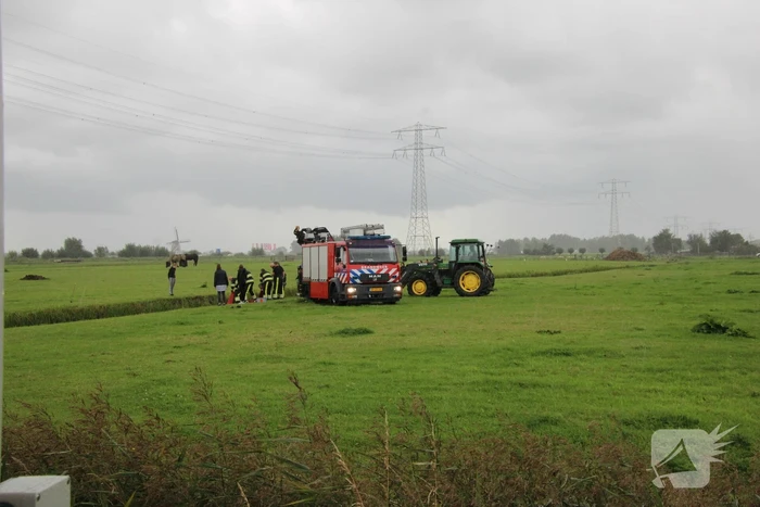 Paard vast in sloot, brandweer bevrijdt het dier