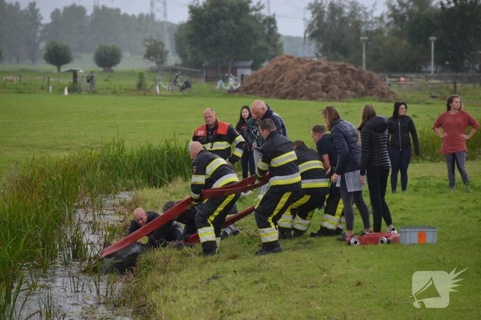 Paard vast in sloot, brandweer bevrijdt het dier