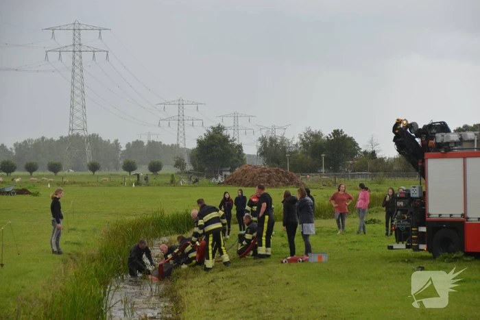 Paard vast in sloot, brandweer bevrijdt het dier