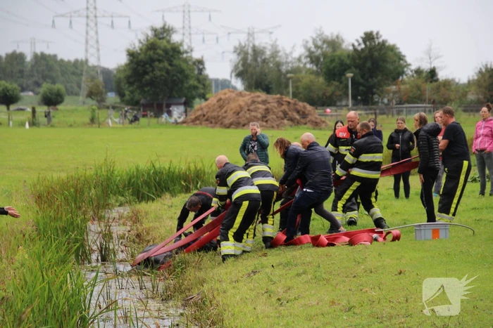 Paard vast in sloot, brandweer bevrijdt het dier