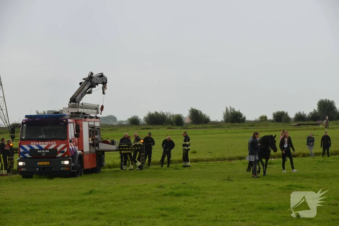 Paard vast in sloot, brandweer bevrijdt het dier