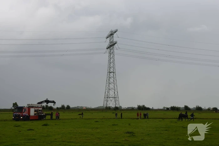 Paard vast in sloot, brandweer bevrijdt het dier