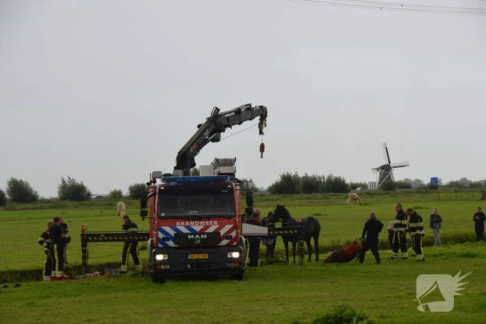 Paard vast in sloot, brandweer bevrijdt het dier