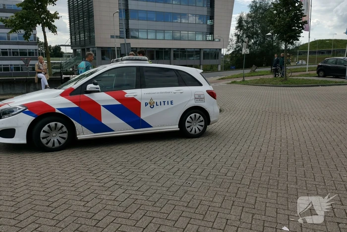 Kinderen krijgen traumabeer na botsing met auto