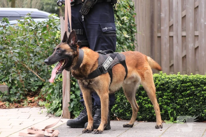 Politie-achtervolging eindigt in aanhoudingen