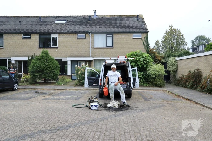 brand breeland hoogland