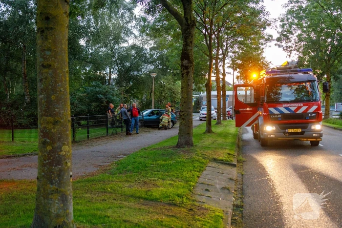 Auto ramt hekwerk hondenuitlaatplek