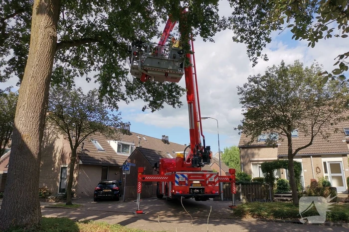 nieuws gerard doustraat ede