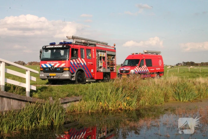 Stier belandt in sloot en wordt gered