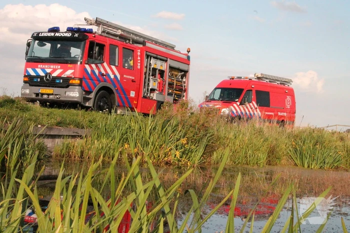 Stier belandt in sloot en wordt gered